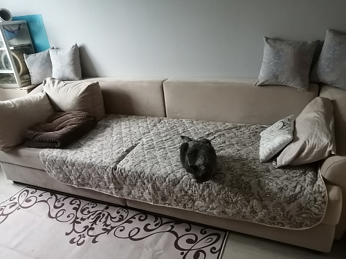 Диван Кристел велюр бирюза фото покупателя 1